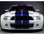   Shelby GT500