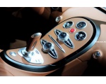    Bugatti Veyron 100