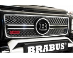   Barbus 800