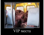 VIP   