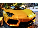 Ƹ Lamborgini