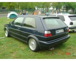 Wolsvaqen golf    332