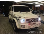  Mercedes-Benz 263