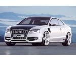   Audi 494