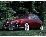 Дерзкий и сильный Jaguar 9