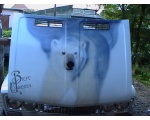 Большой белый медведь 