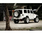    Wrangler 8