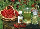 <a href="https://www.sibdoska.ru/medicina/rubrikator.php?id=narodnaya-medicina" title="Лечение народными средствами">Лечение народными средствами</a>