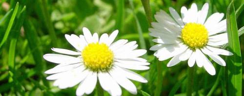 Лечение молочницы