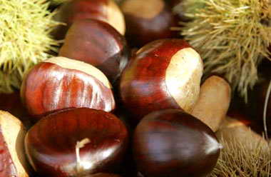 Лечение суставов народными средствами